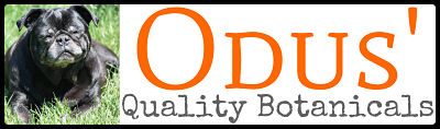 Odus Quality Botanicals